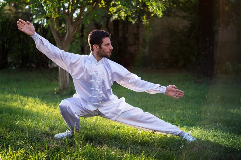 Chen Style Tai Chi Balance